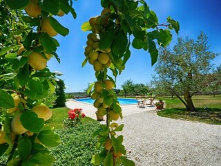 Villa Radetići Grabación al aire libre 10
