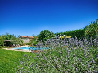 Villa Radetići Outdoor Recording 6