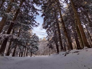 Vakantiehuis Ortignano Raggiolo Omgeving 34