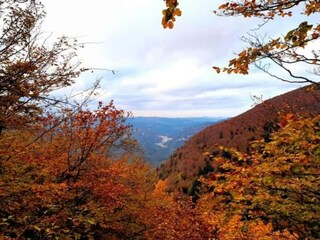 Maison de vacances Ortignano Raggiolo Environnement 35