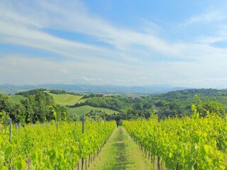 Casa per le vacanze Apecchio Ambiente 25