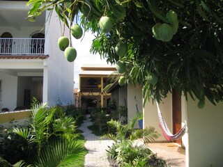 Pensión Itaparica Entorno 6