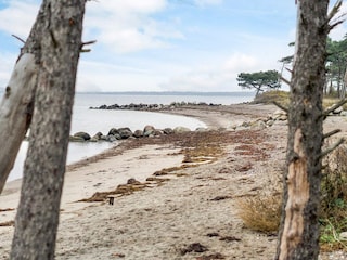 Vakantiepark Reersø  5