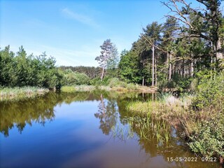 Maison de vacances Geel Environnement 39