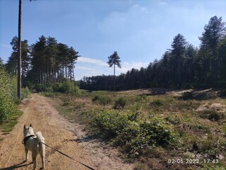 Casa de vacaciones Geel Entorno 39