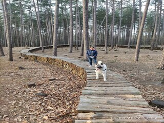 Vakantiehuis Geel Omgeving 36