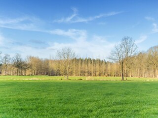 Vakantiehuis Geel Omgeving 38