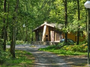 Vakantiehuis Aangenaam chalet in Viroinval met terras - Viroinval - image1