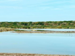 Ferienhaus Viroinval Umgebung 24