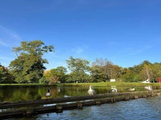 Ferienhaus Viroinval Umgebung 25