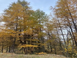 Ferienhaus Viroinval Umgebung 28