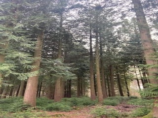 Holiday house Viroinval Environment 39