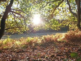 Vakantiehuis Viroinval Omgeving 32