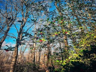 Casa de vacaciones Viroinval Entorno 18