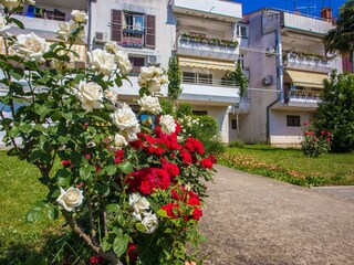 Appartement Spadici Buitenaudio-opname 9