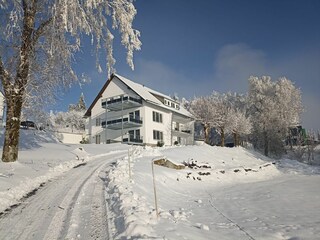 Main view