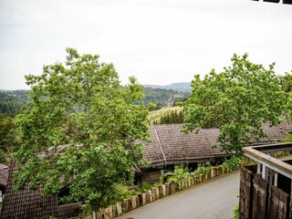 Ferienwohnung Winterberg Außenaufnahme 13