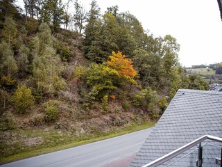Apartment Winterberg Außenaufnahme 16