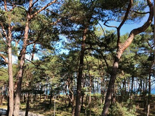 Blick zur Ostsee