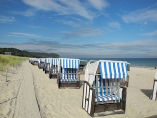 Strandkörbe am herrlich feinsandigen Strand