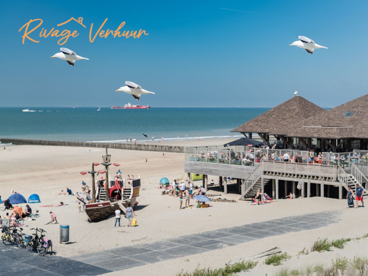 strand cadzand