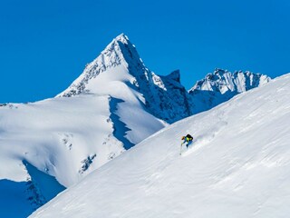 Appartamento per vacanze Heiligenblut Caratteristiche 23