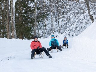 Appartement de vacances Heiligenblut Environnement 34