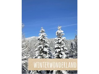 Skihütte Turracherhöhe Außenaufnahme 4