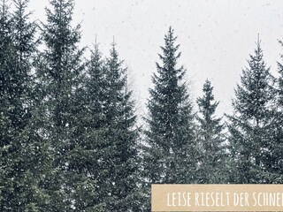 Skihütte Turracherhöhe Außenaufnahme 2