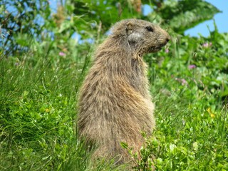 Appartamento per vacanze Bolsterlang Ambiente 32