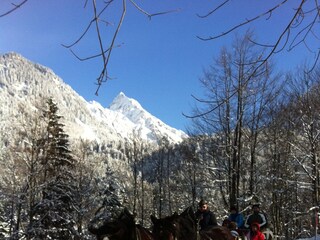 Appartamento per vacanze Bolsterlang Ambiente 33