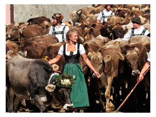 Appartamento per vacanze Bolsterlang Ambiente 21
