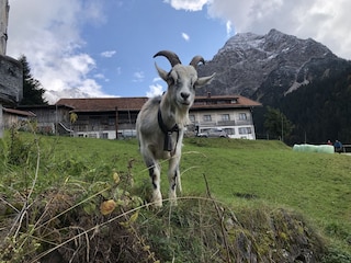Wandern auf die Gaißalpe bei Obestdorf