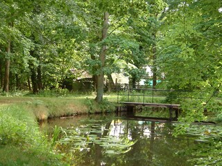 Appartamento per vacanze Domburg Ambiente 21