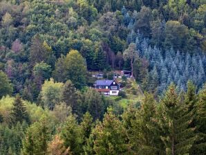 Ferienhaus Tannenhäuschen Sauerland - Schmallenberg - image1