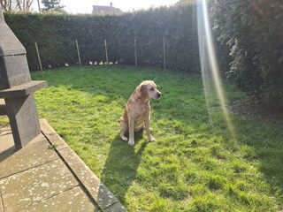 Casa per le vacanze Carolinensiel Registrazione all'aperto 7