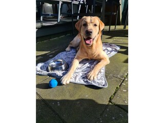 Casa per le vacanze Carolinensiel Registrazione all'aperto 9