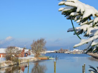 Casa per le vacanze Carolinensiel Ambiente 37