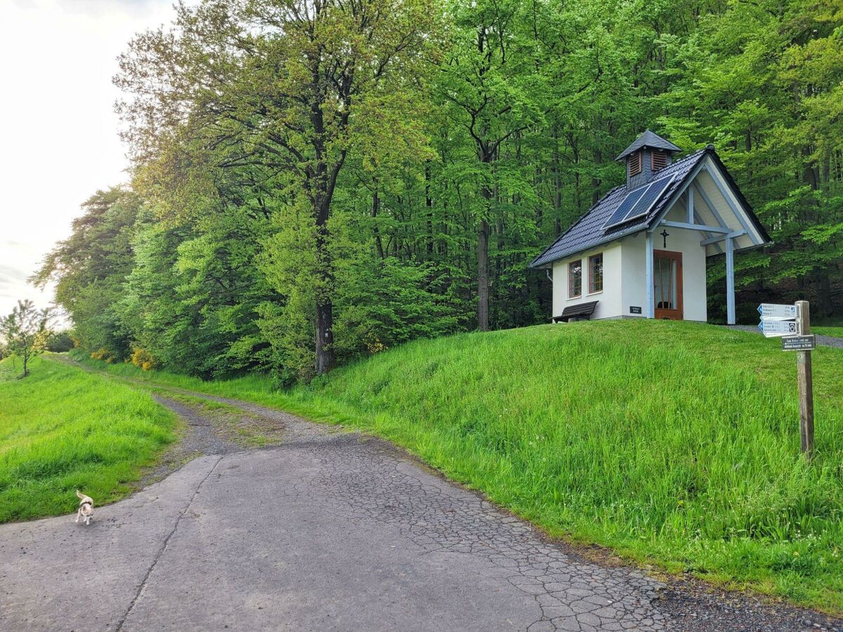 Direkt am Wald