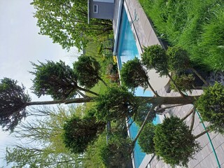 Buchen Sie sich eine Auszeit am Pool!