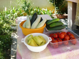 Ferienpark Privlaka  20