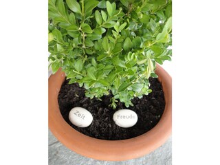 Appartamento per vacanze Jungholz Registrazione all'aperto 6