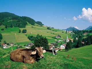 Appartamento per vacanze Jungholz Registrazione all'aperto 3