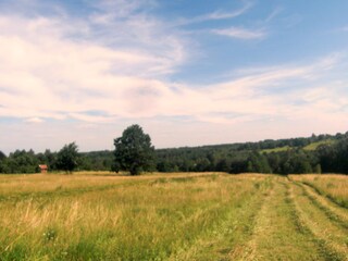 Die Wiese nebenan