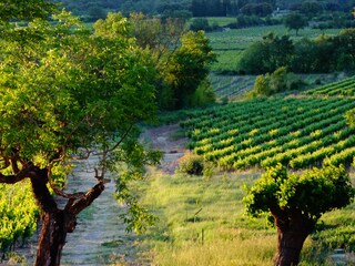 Appartamento per vacanze Carnas Ambiente 30