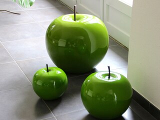 Appartement de vacances Carnas Équipement 23