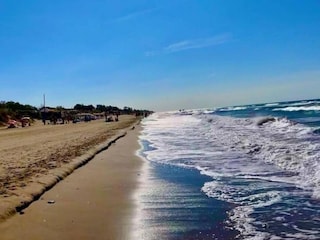 Ferienhaus Elviria Umgebung 19