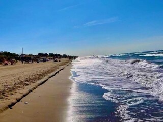 Appartement Elviria Environnement 15