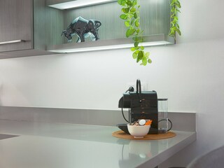 Villa Elviria  28