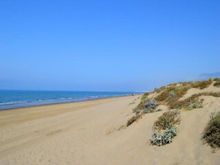 Appartement Elviria Environnement 17